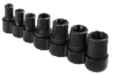 Torks Nüsse Set - Torks Socket Set